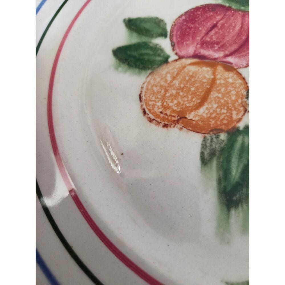 Blue Ridge Southern Pottery Fruit Pattern Dinner Plates Yellow Coral Border - Picture 2 of 6